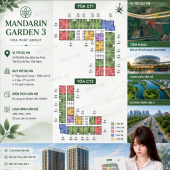  MỘT DỰ ÁN CẠNH CÔNG VIÊN 323HA, CẠNH BẾN XE MỚI, MẶT TIỀN VÀNH ĐAI 3... GIÁ BAO NHIÊU THÌ HỢP LÝ?